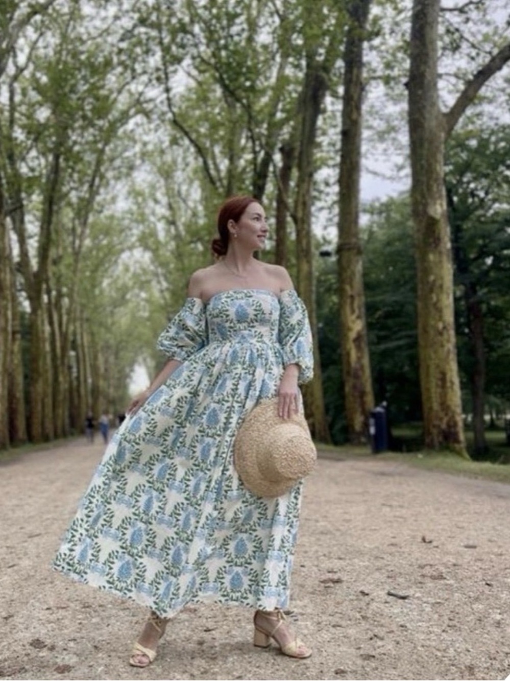 Anthropologie Let Me Be Blue and Green Hydrangea Printed Midi Dress - size M - Picture 4 of 16